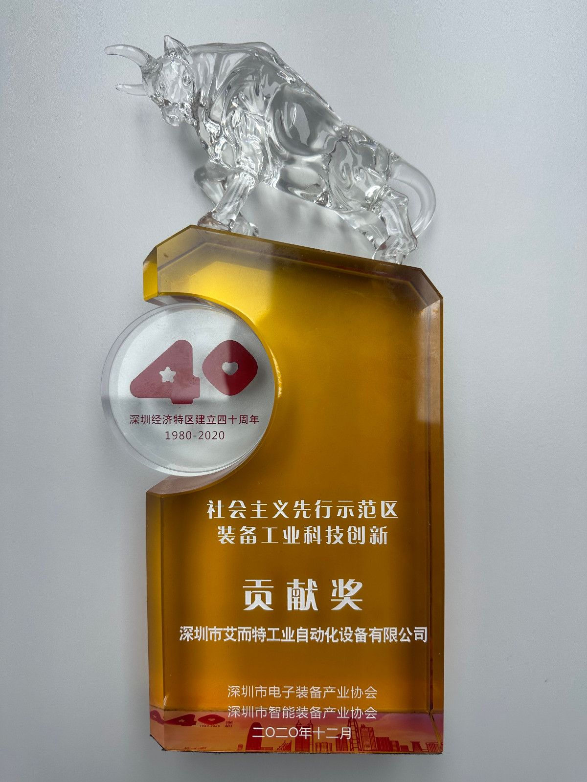 艾而特-2020年社會主義先行示范區(qū)貢獻獎
